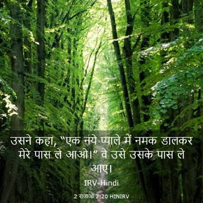 Picture 03 - 2 राजाओं 2:20 HINIRV - उसने कहा, “एक नये - Bible Verse Picture