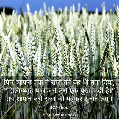 Picture 03 - 2 राजाओं 22:10 HINIRV - फिर शापान मंत्री - Bible Verse Picture