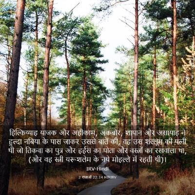 Picture 03 - 2 राजाओं 22:14 HINIRV - हिल्किय्याह याजक - Bible Verse Picture