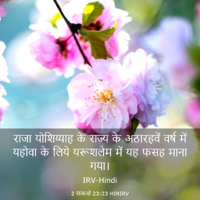 Picture 03 - 2 राजाओं 23:23 HINIRV - राजा योशिय्याह के - Bible Verse Picture