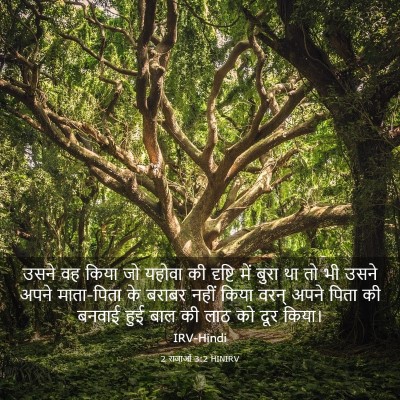 Picture 03 - 2 राजाओं 3:2 HINIRV - उसने वह किया जो - Bible Verse Picture