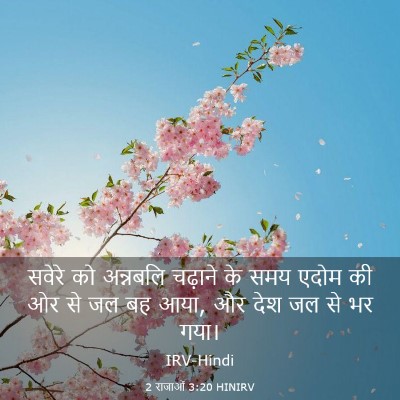 Picture 03 - 2 राजाओं 3:20 HINIRV - सवेरे को अन्नबलि - Bible Verse Picture