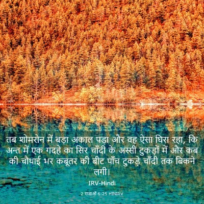 Picture 03 - 2 राजाओं 6:25 HINIRV - तब शोमरोन में बड़ा - Bible Verse Picture