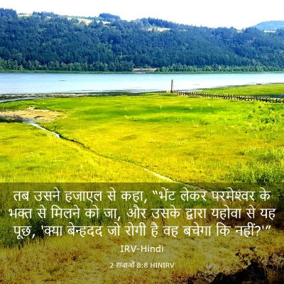 Picture 03 - 2 राजाओं 8:8 HINIRV - तब उसने हजाएल से - Bible Verse Picture