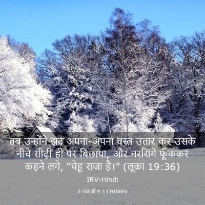 Picture 03 - 2 राजाओं 9:13 HINIRV - तब उन्होंने झट - Bible Verse Picture