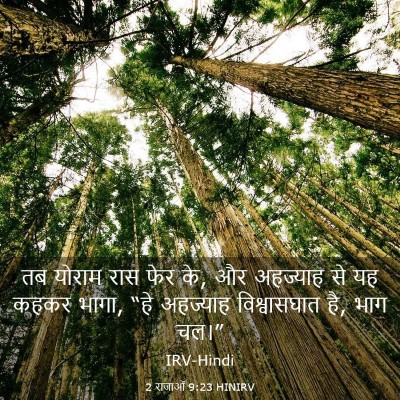 Picture 03 - 2 राजाओं 9:23 HINIRV - तब योराम रास फेर - Bible Verse Picture