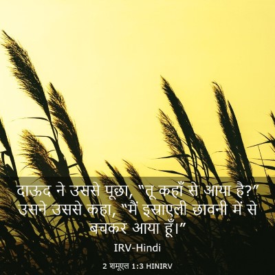 Picture 03 - 2 शमूएल 1:3 HINIRV - दाऊद ने उससे पूछा, - Bible Verse Picture