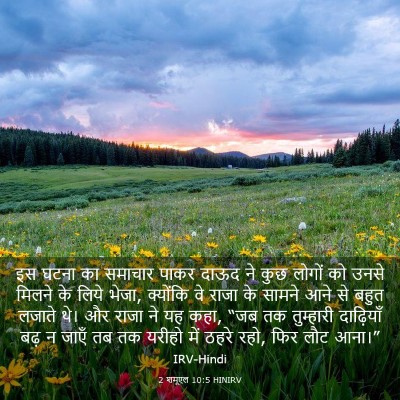 Picture 03 - 2 शमूएल 10:5 HINIRV - इस घटना का समाचार - Bible Verse Picture