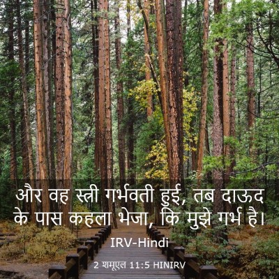 Picture 03 - 2 शमूएल 11:5 HINIRV - और वह स्त्री - Bible Verse Picture