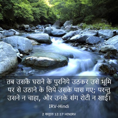 Picture 03 - 2 शमूएल 12:17 HINIRV - तब उसके घराने के - Bible Verse Picture