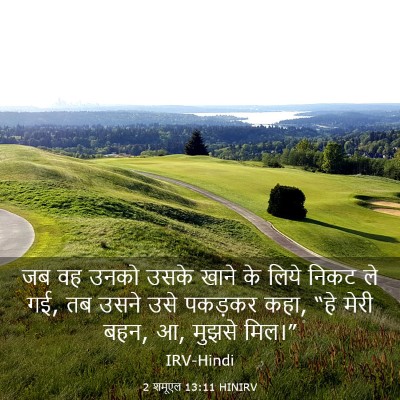 Picture 03 - 2 शमूएल 13:11 HINIRV - जब वह उनको उसके - Bible Verse Picture