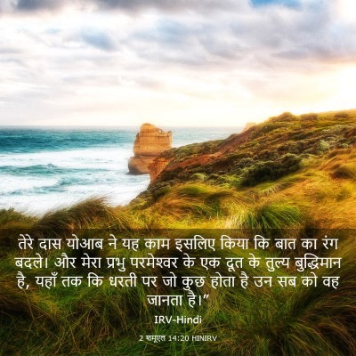 Picture 03 - 2 शमूएल 14:20 HINIRV - तेरे दास योआब ने यह - Bible Verse Picture