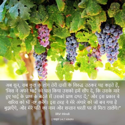 Picture 03 - 2 शमूएल 14:7 HINIRV - अब सुन, सब कुल के - Bible Verse Picture