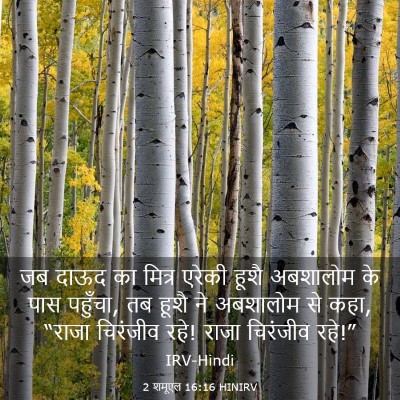 Picture 03 - 2 शमूएल 16:16 HINIRV - जब दाऊद का मित्र - Bible Verse Picture