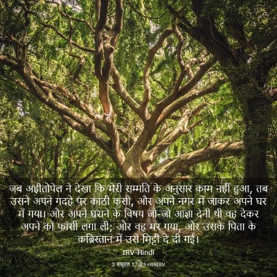 Picture 03 - 2 शमूएल 17:23 HINIRV - जब अहीतोपेल ने - Bible Verse Picture