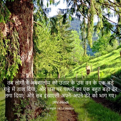 Picture 03 - 2 शमूएल 18:17 HINIRV - तब लोगों ने - Bible Verse Picture