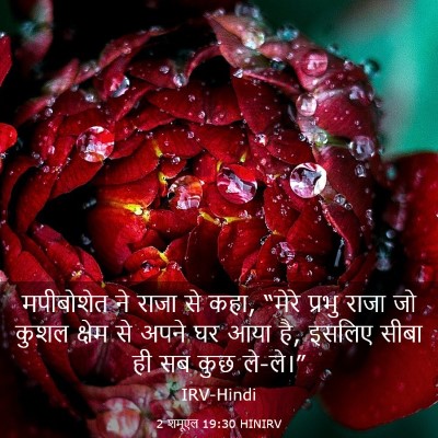 Picture 03 - 2 शमूएल 19:30 HINIRV - मपीबोशेत ने राजा - Bible Verse Picture