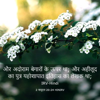 Picture 03 - 2 शमूएल 20:24 HINIRV - और अदोराम बेगारों - Bible Verse Picture