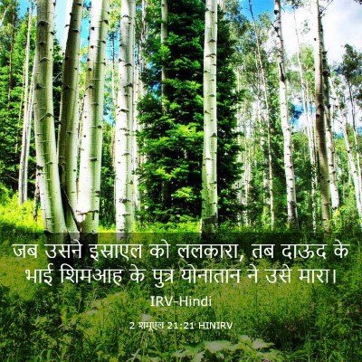 Picture 03 - 2 शमूएल 21:21 HINIRV - जब उसने इस्राएल को - Bible Verse Picture