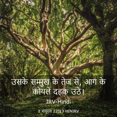 Picture 03 - 2 शमूएल 22:13 HINIRV - उसके सम्मुख के तेज - Bible Verse Picture