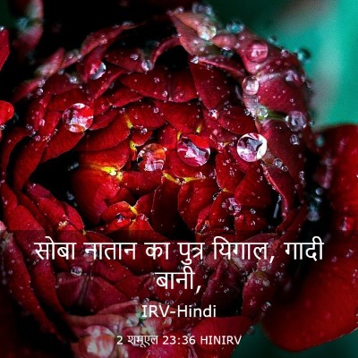 Picture 03 - 2 शमूएल 23:36 HINIRV - सोबा नातान का - Bible Verse Picture