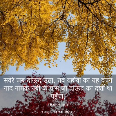 Picture 03 - 2 शमूएल 24:11 HINIRV - सवेरे जब दाऊद उठा, - Bible Verse Picture