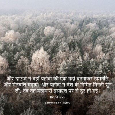 Picture 03 - 2 शमूएल 24:25 HINIRV - और दाऊद ने वहाँ - Bible Verse Picture