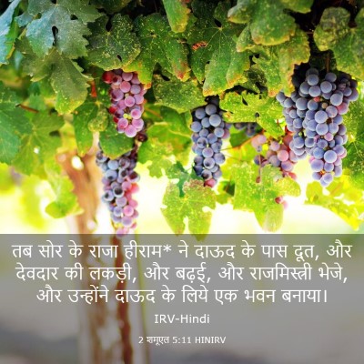 Picture 03 - 2 शमूएल 5:11 HINIRV - तब सोर के राजा - Bible Verse Picture