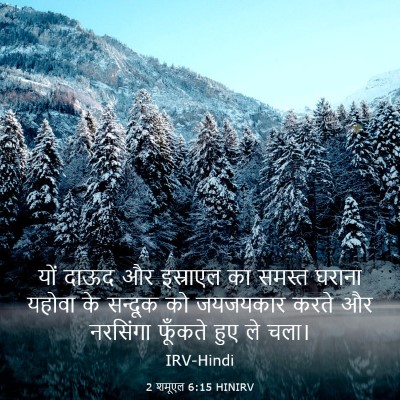 Picture 03 - 2 शमूएल 6:15 HINIRV - यों दाऊद और - Bible Verse Picture