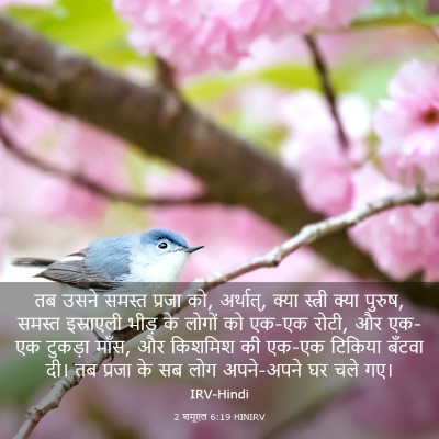 Picture 03 - 2 शमूएल 6:19 HINIRV - तब उसने समस्त - Bible Verse Picture