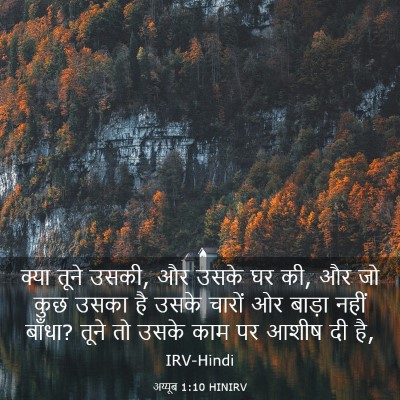 Picture 03 - अय्यूब 1:10 HINIRV - क्या तूने उसकी, और - Bible Verse Picture