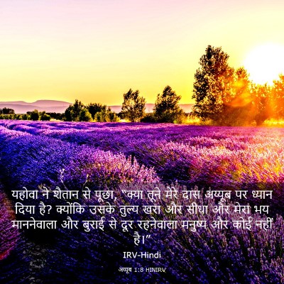 Picture 03 - अय्यूब 1:8 HINIRV - यहोवा ने शैतान से - Bible Verse Picture