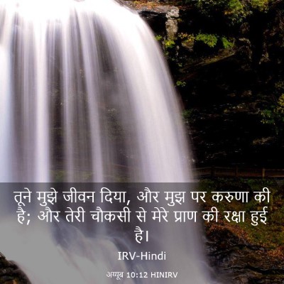 Picture 03 - अय्यूब 10:12 HINIRV - तूने मुझे जीवन - Bible Verse Picture
