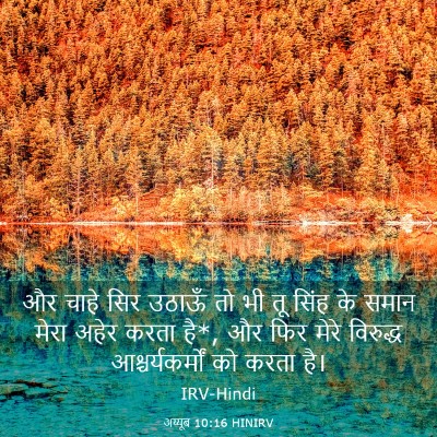 Picture 03 - अय्यूब 10:16 HINIRV - और चाहे सिर उठाऊँ - Bible Verse Picture