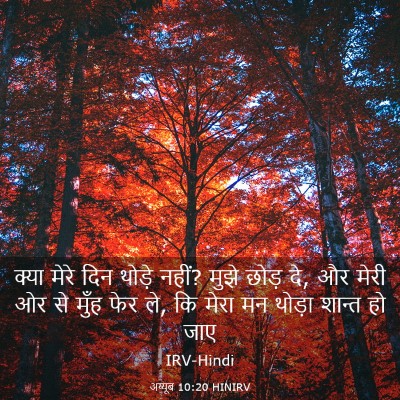 Picture 03 - अय्यूब 10:20 HINIRV - क्या मेरे दिन - Bible Verse Picture