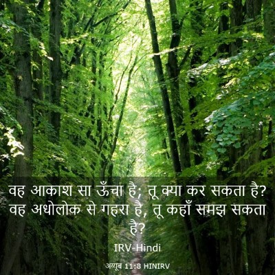 Picture 03 - अय्यूब 11:8 HINIRV - वह आकाश सा ऊँचा है; - Bible Verse Picture