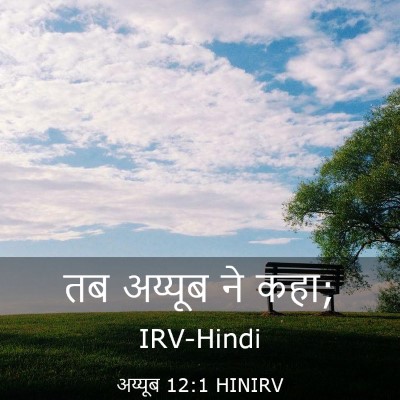 Picture 03 - अय्यूब 12:1 HINIRV - तब अय्यूब ने - Bible Verse Picture