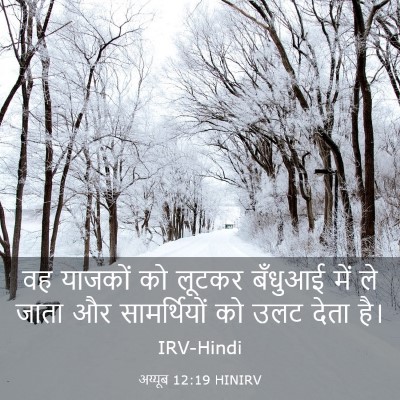 Picture 03 - अय्यूब 12:19 HINIRV - वह याजकों को लूटकर - Bible Verse Picture