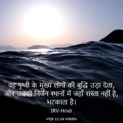 Picture 03 - अय्यूब 12:24 HINIRV - वह पृथ्वी के मुख्य - Bible Verse Picture
