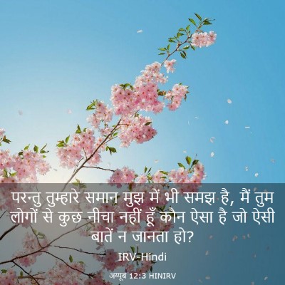 Picture 03 - अय्यूब 12:3 HINIRV - परन्तु तुम्हारे - Bible Verse Picture