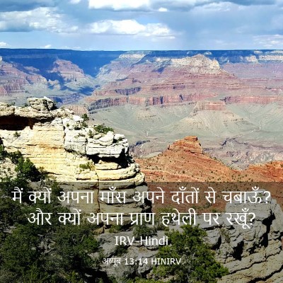 Picture 03 - अय्यूब 13:14 HINIRV - मैं क्यों अपना - Bible Verse Picture