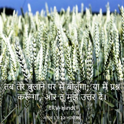 Picture 03 - अय्यूब 13:22 HINIRV - तब तेरे बुलाने पर - Bible Verse Picture