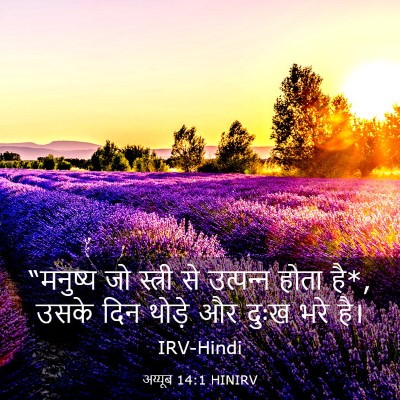 Picture 03 - अय्यूब 14:1 HINIRV - “मनुष्य जो स्त्री - Bible Verse Picture