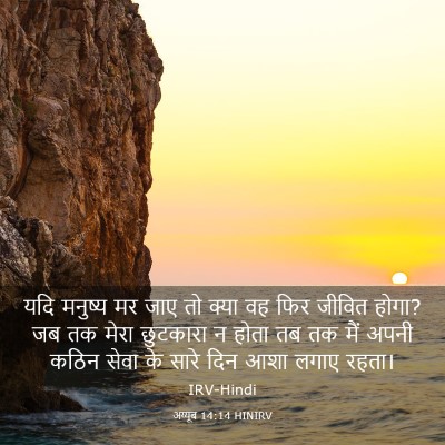 Picture 03 - अय्यूब 14:14 HINIRV - यदि मनुष्य मर जाए - Bible Verse Picture
