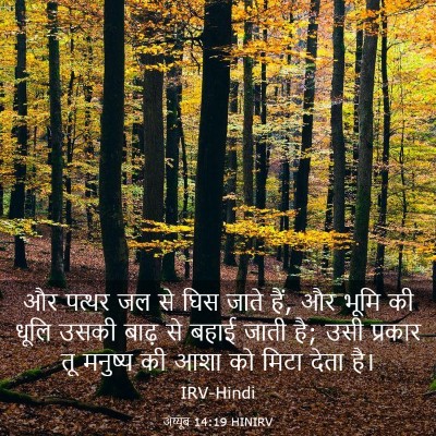 Picture 03 - अय्यूब 14:19 HINIRV - और पत्थर जल से घिस - Bible Verse Picture