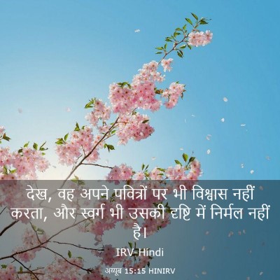 Picture 03 - अय्यूब 15:15 HINIRV - देख, वह अपने - Bible Verse Picture