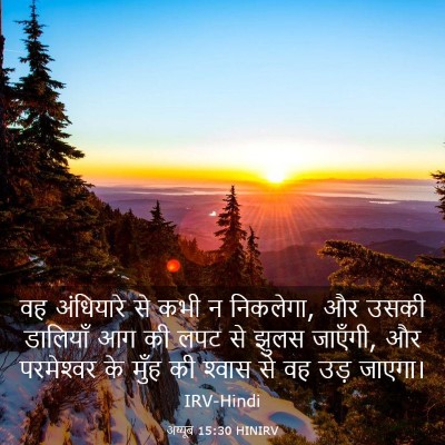 Picture 03 - अय्यूब 15:30 HINIRV - वह अंधियारे से कभी - Bible Verse Picture