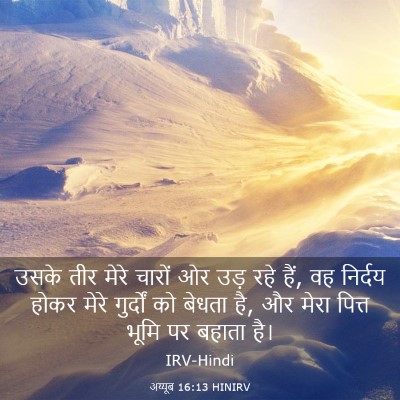 Picture 03 - अय्यूब 16:13 HINIRV - उसके तीर मेरे - Bible Verse Picture