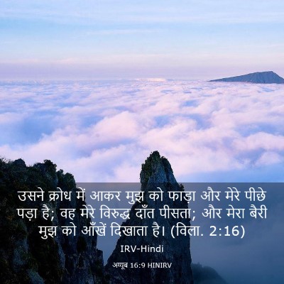 Picture 03 - अय्यूब 16:9 HINIRV - उसने क्रोध में आकर - Bible Verse Picture