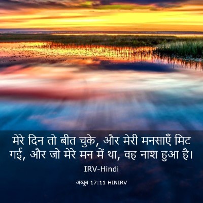 Picture 03 - अय्यूब 17:11 HINIRV - मेरे दिन तो बीत - Bible Verse Picture